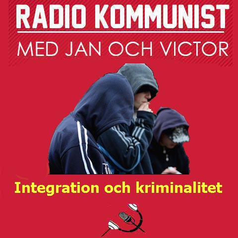 Integration och kriminalitet