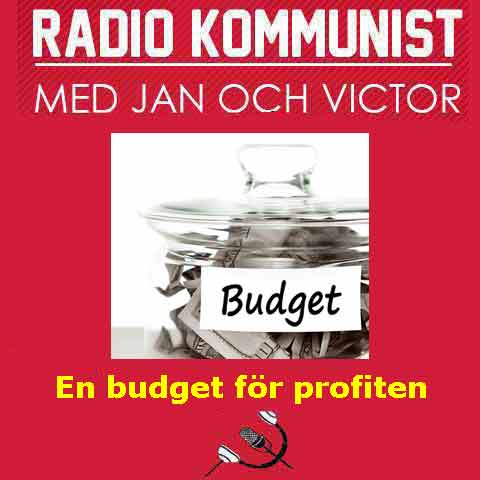 Budget för profiten