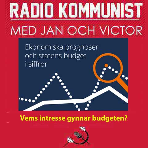 Vems intresse gynnar budgeten?